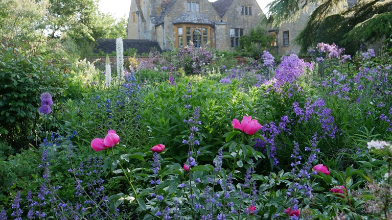 Pink, purple and white flowers in front of an old manor house, the branch of a cedar tree to the right
